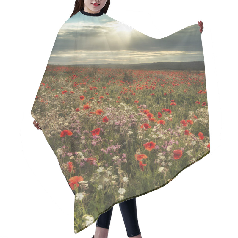 Personality  Beautiful Poppy Field Landscape In Summer Sunset Light On South  Hair Cutting Cape