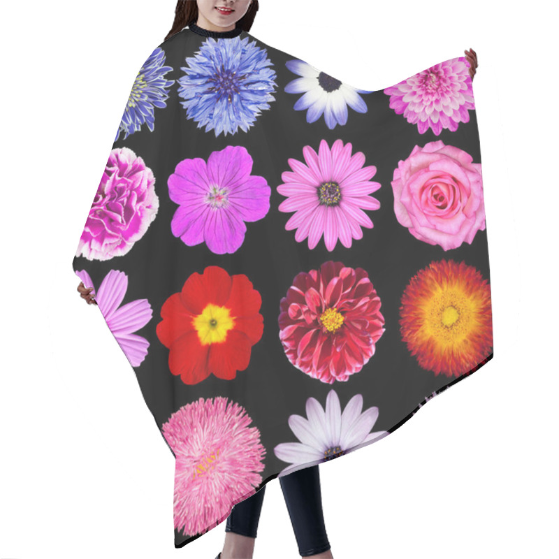 Personality  Red, Pink, Purple, Blue And White Flowers Isolated On Black Hair Cutting Cape