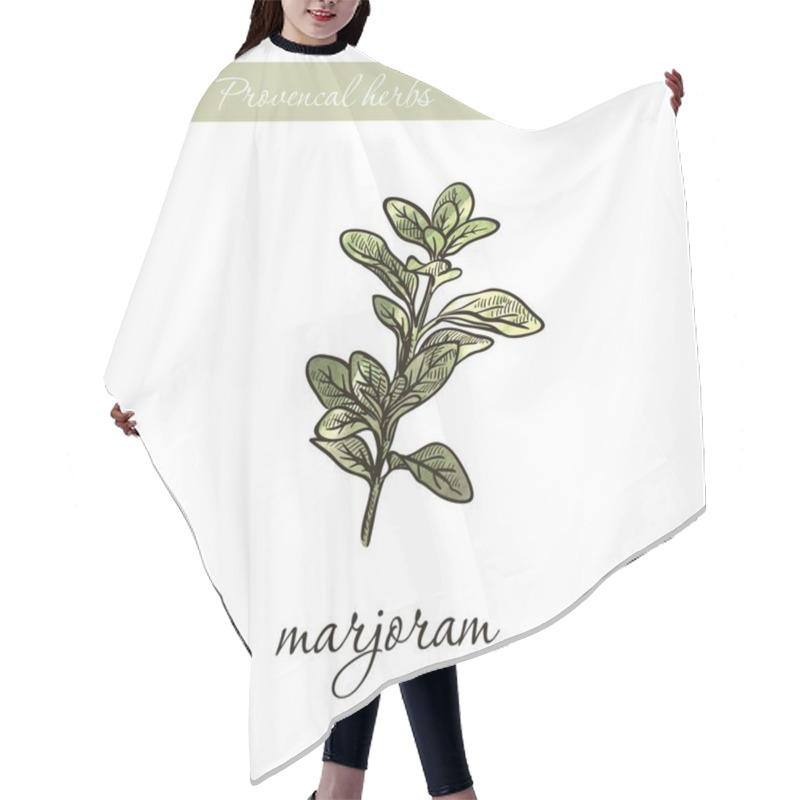 Personality  Marjoram. Natural Spices And Herbs. Sketch On White Hair Cutting Cape