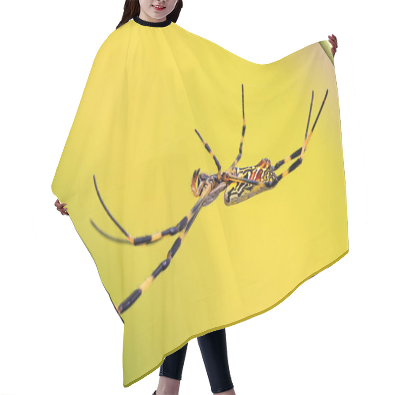 Personality  A Spider Hair Cutting Cape