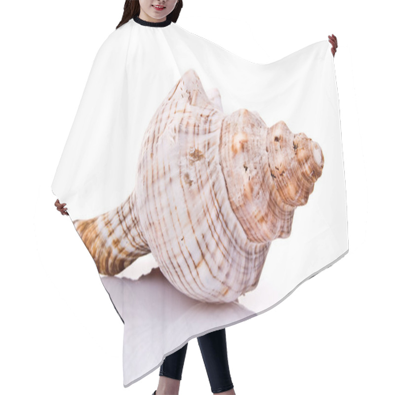 Personality  Seashell Isolated On White Background Hair Cutting Cape