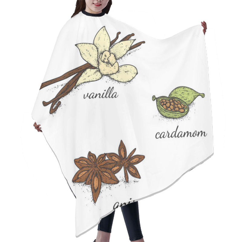 Personality  A Beautiful Selection Of Spices And Seasonings Drawn By Hand. Vanilla, Cardamom And Anise. Vector Illustration. Hair Cutting Cape