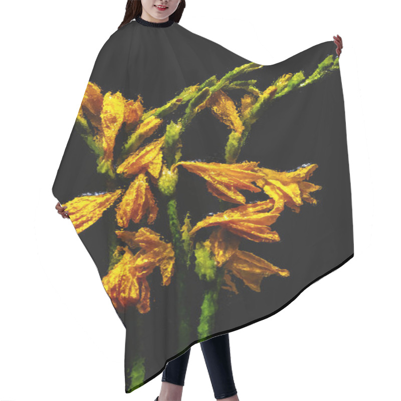 Personality  Beautiful Blooming Wet Orange Lily Flowers And Buds Isolated On Black   Hair Cutting Cape