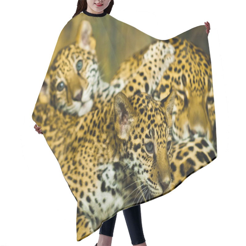 Personality  Jaguar Cubs Hair Cutting Cape