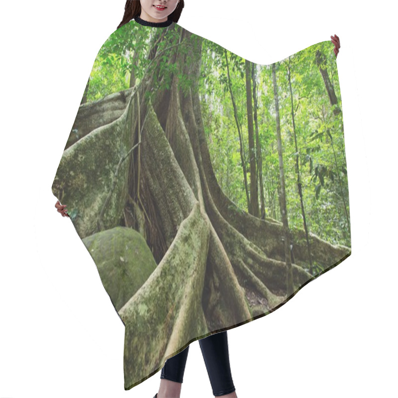 Personality  Large Fig Tree Hair Cutting Cape