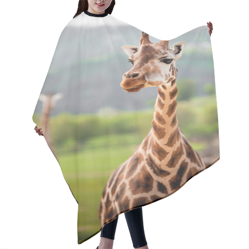 Personality  Giraffes In The Zoo Hair Cutting Cape