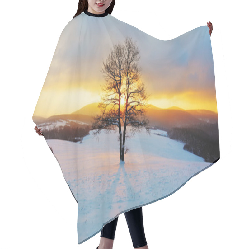 Personality  Winter Landscape In Snow Nature With Sun And Tree Hair Cutting Cape