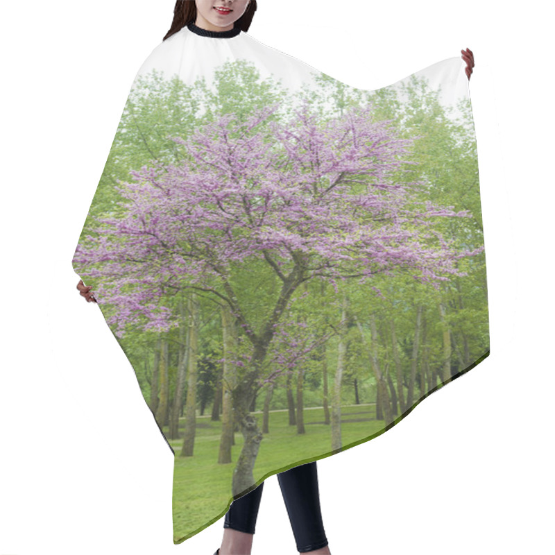 Personality  Judas Tree Hair Cutting Cape