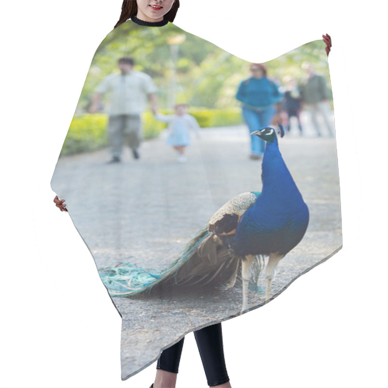 Personality  Turkey In A Park Hair Cutting Cape