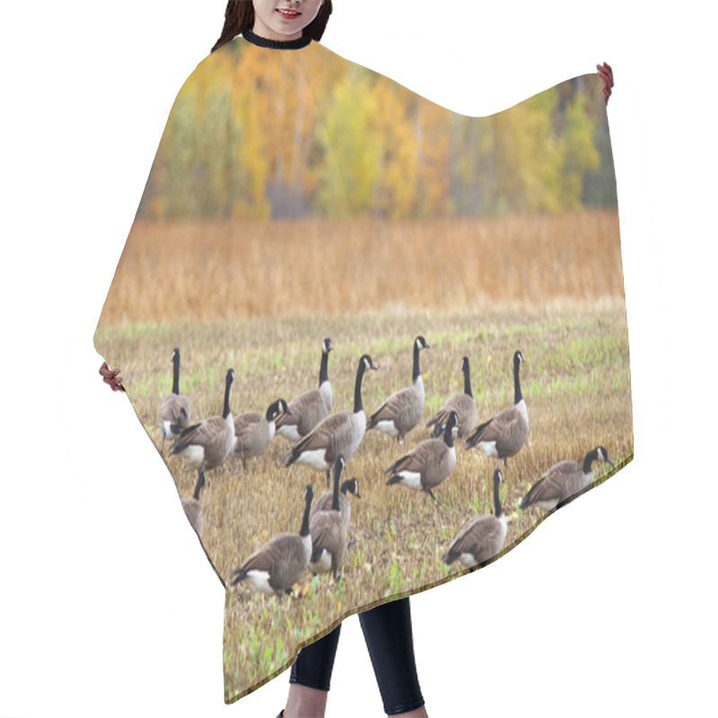 Personality  Canada Geese In A Field Hair Cutting Cape