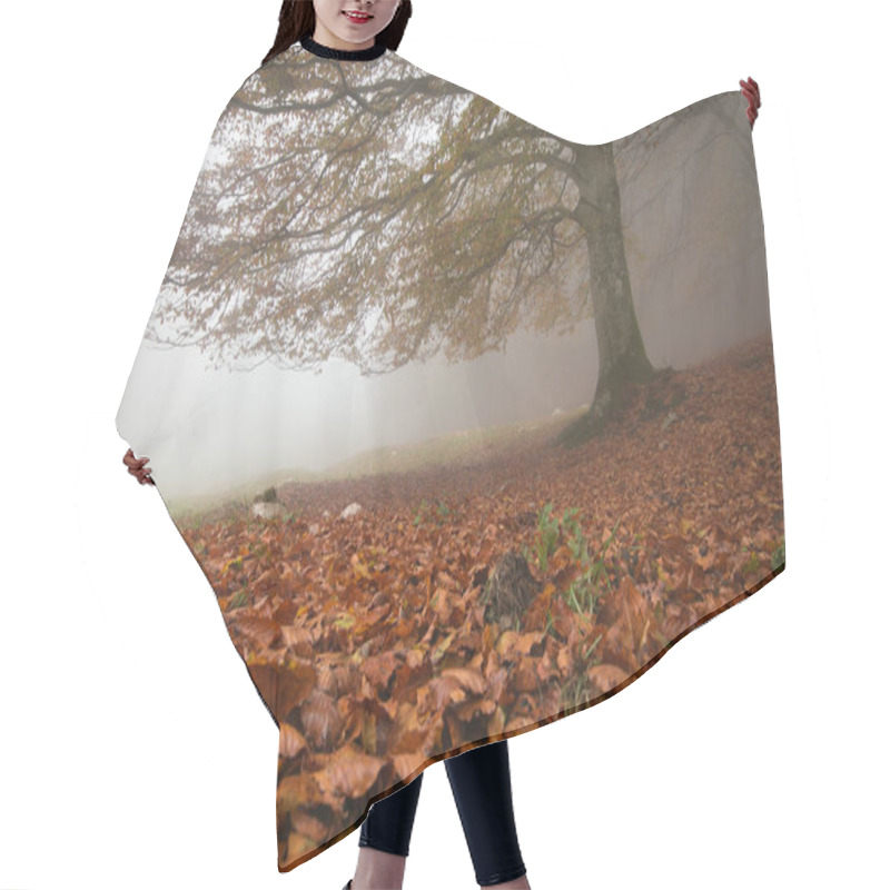 Personality  View Of Red Carpet Of Leaves In The Forest On Autumn Foggy Day Hair Cutting Cape