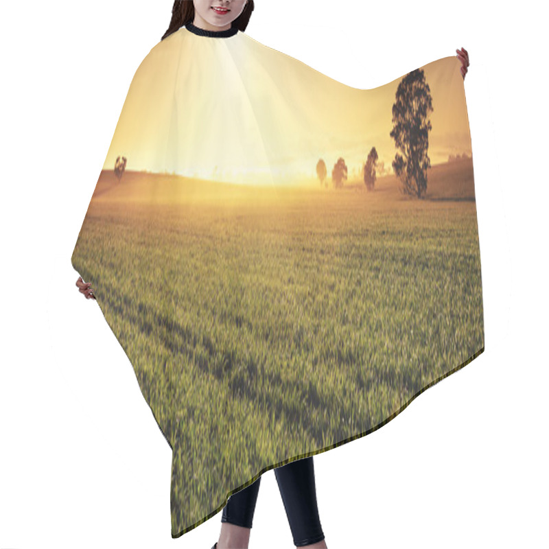 Personality  Valley Of Gold Hair Cutting Cape