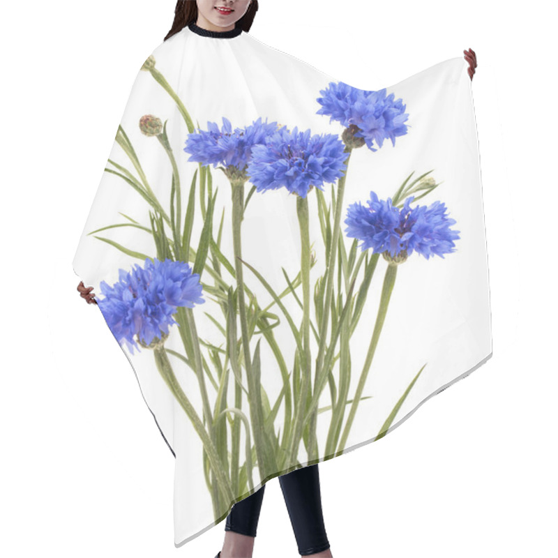 Personality  Blue Cornflower Herbs Hair Cutting Cape