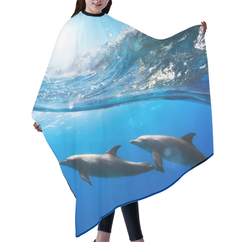 Personality  Two Funny Dolphins Smiling Underwater Very Close The Camera Hair Cutting Cape