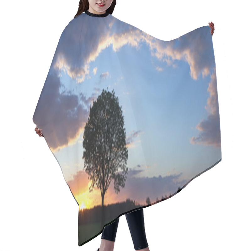 Personality  Romantic Sunset With Tree Silhouette And Clouds Hair Cutting Cape