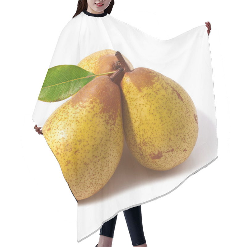 Personality  Pears Hair Cutting Cape