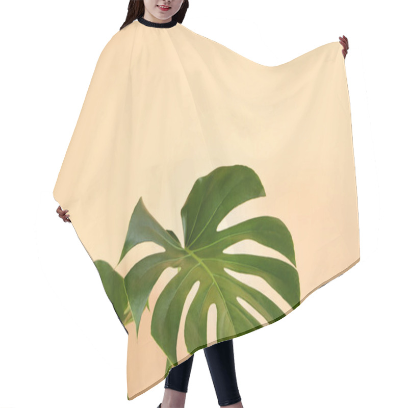 Personality  Green Tropical Monstera Leafs On Beige Background Hair Cutting Cape