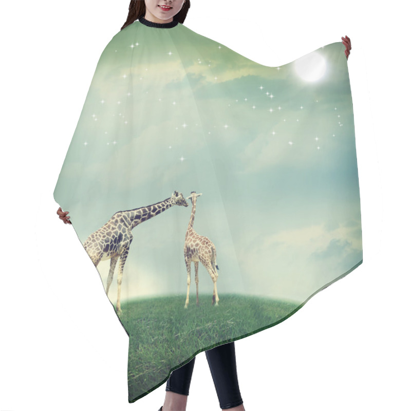 Personality  Giraffes In Friendship Or Love Concept Image Hair Cutting Cape