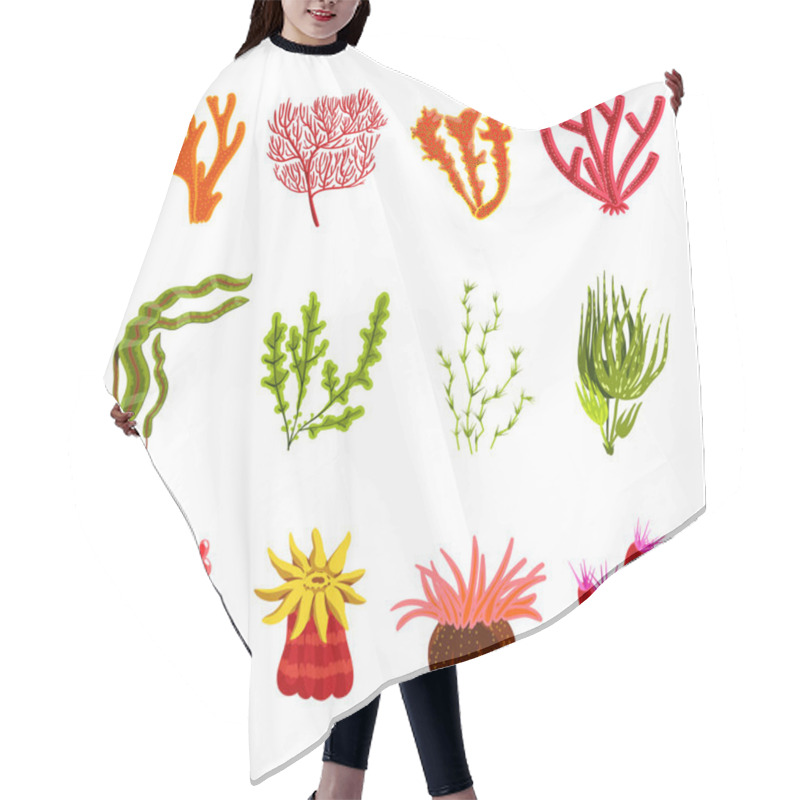 Personality  Coral Icons Set Hair Cutting Cape