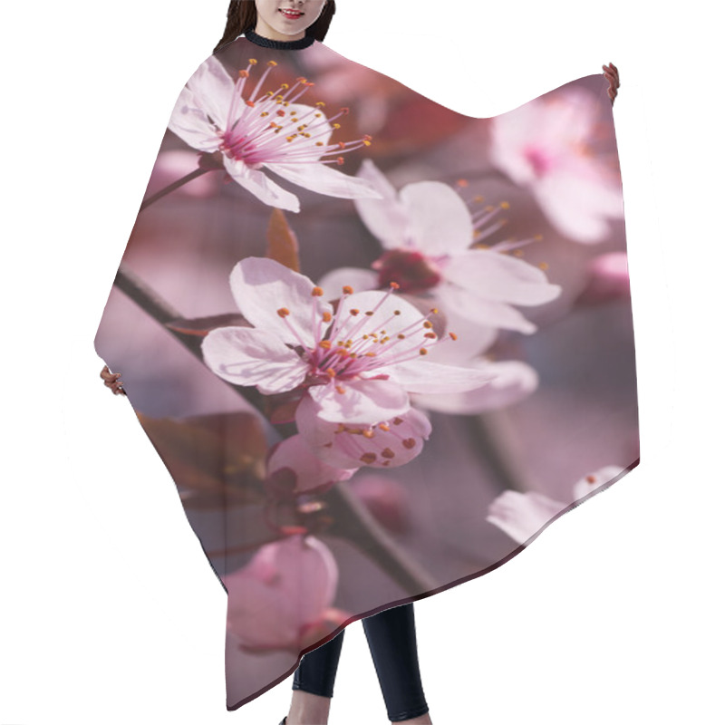 Personality  Cherry Blossoms Hair Cutting Cape