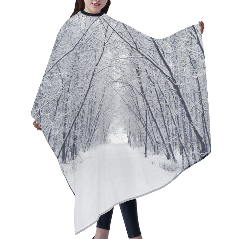 Personality  Winter Park. Nature, Travel Hair Cutting Cape