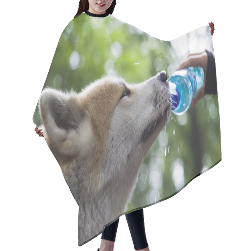 Personality  Dog On Hiking Trip Drinking Water Hair Cutting Cape