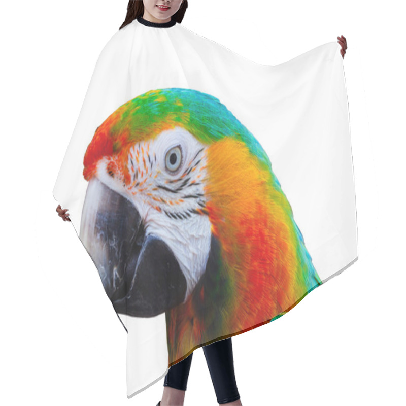 Personality  Harlequin Macaw Head Parrot Isolated On White Background Hair Cutting Cape