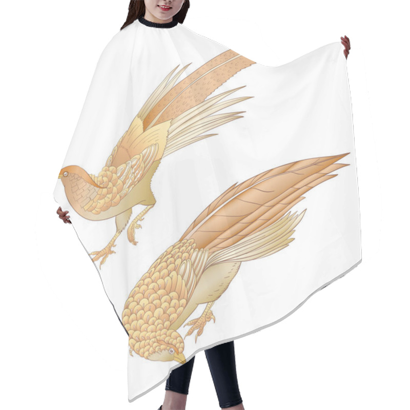 Personality  Pheasant, Bird. Set Of Elements For Design Hair Cutting Cape