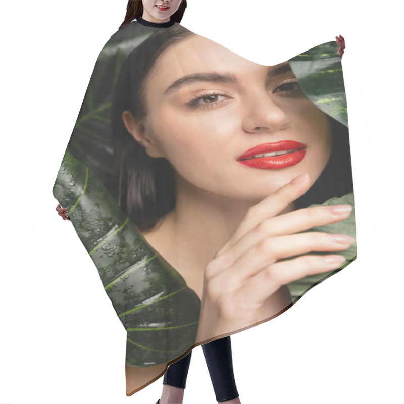 Personality  Portrait Of Charming Woman With Brunette Hair And Red Lips Posing Around Tropical And Exotic Green Palm Leaves With Raindrops On Them Isolated On Grey Background  Hair Cutting Cape