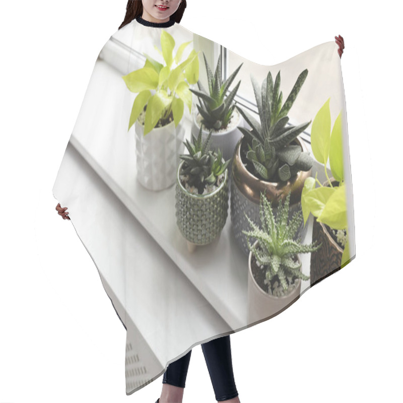 Personality  Beautiful Potted Houseplants On Window Sill Indoors Hair Cutting Cape