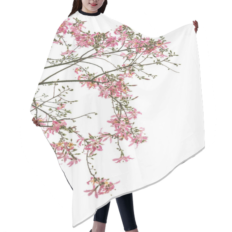 Personality  Silk Floss Tree Flower Isolated On White Background Hair Cutting Cape