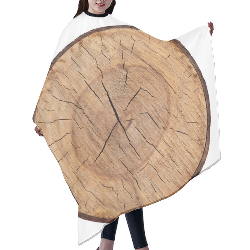 Personality  Wood Texture Of Cutted Tree Trunk Vector Hair Cutting Cape