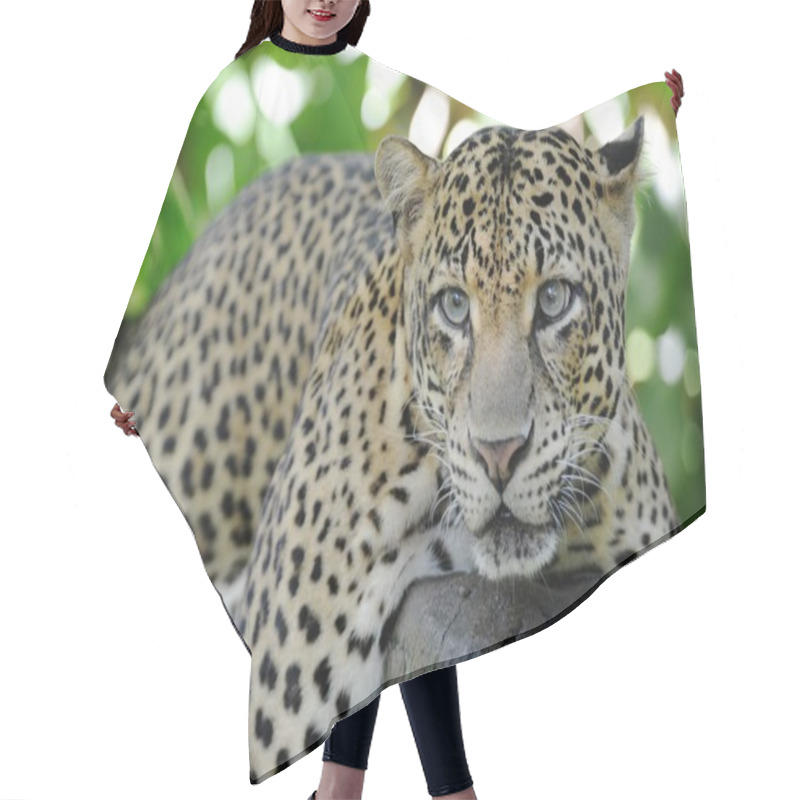 Personality  Leopard Hair Cutting Cape