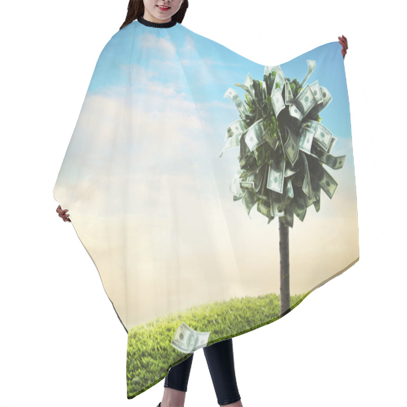 Personality  Concept, Money Tree On Grass Hair Cutting Cape