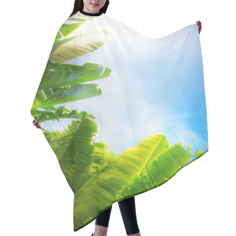 Personality  Big Green Leaves On Blue Sky Background Hair Cutting Cape