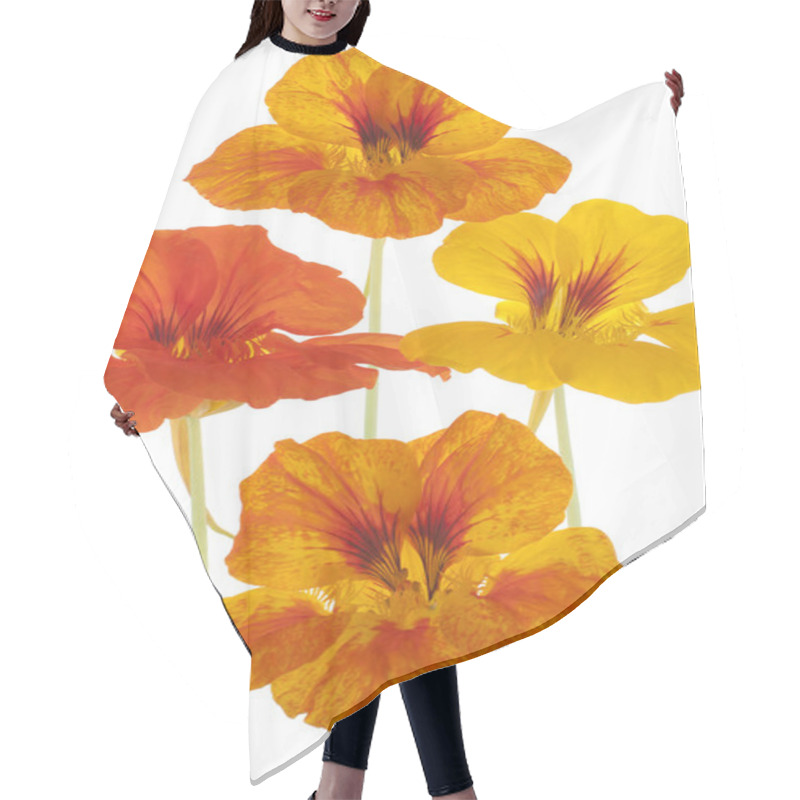 Personality  Nasturtium Hair Cutting Cape