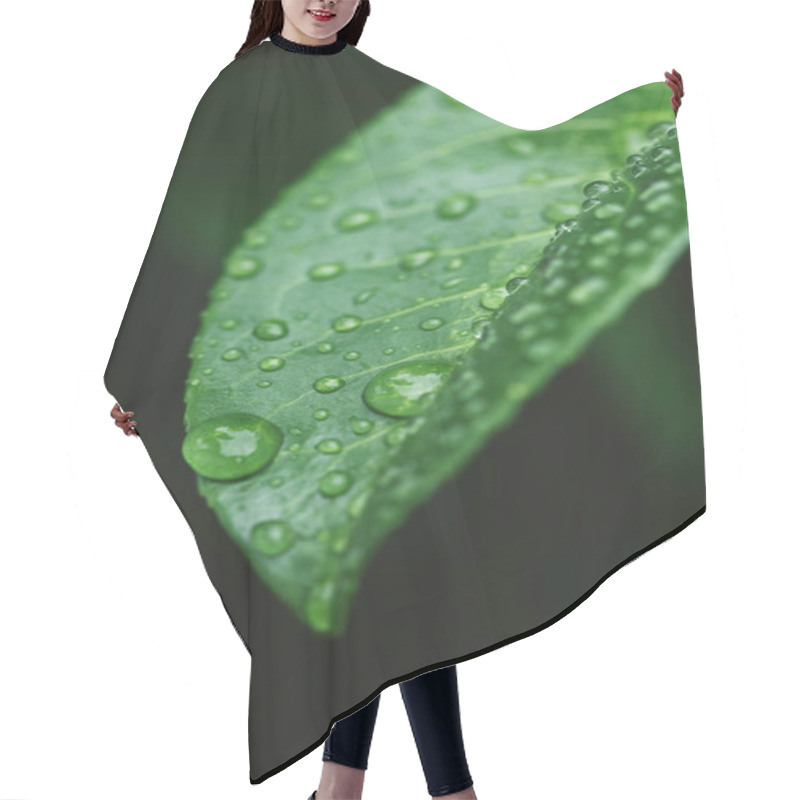 Personality  Close Up Of Green Leaf With Water Drops After Rain Hair Cutting Cape