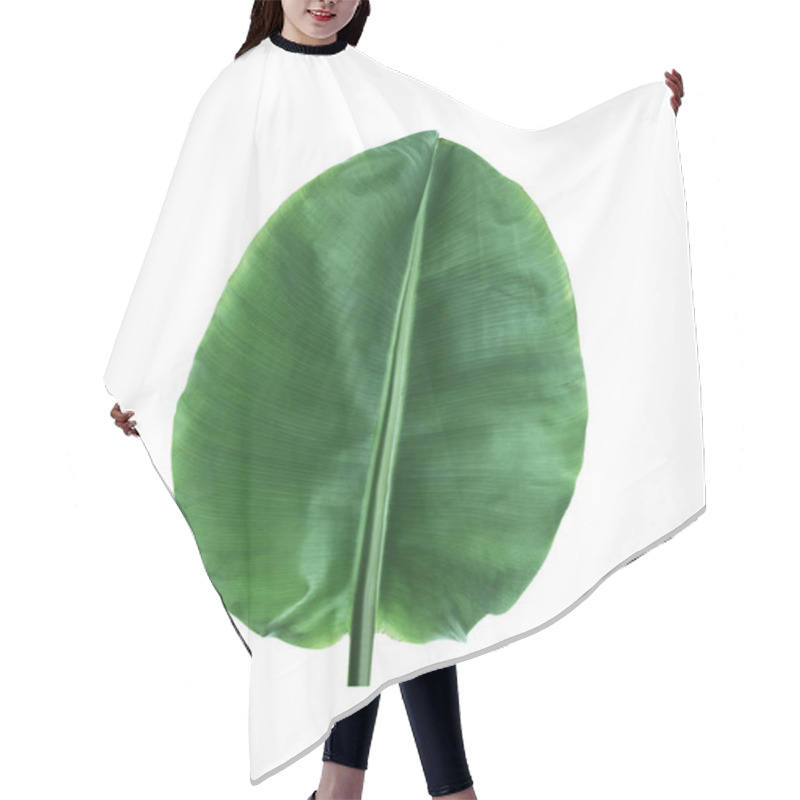 Personality  Fresh Green Banana Leaf On White Background. Tropical Foliage Hair Cutting Cape