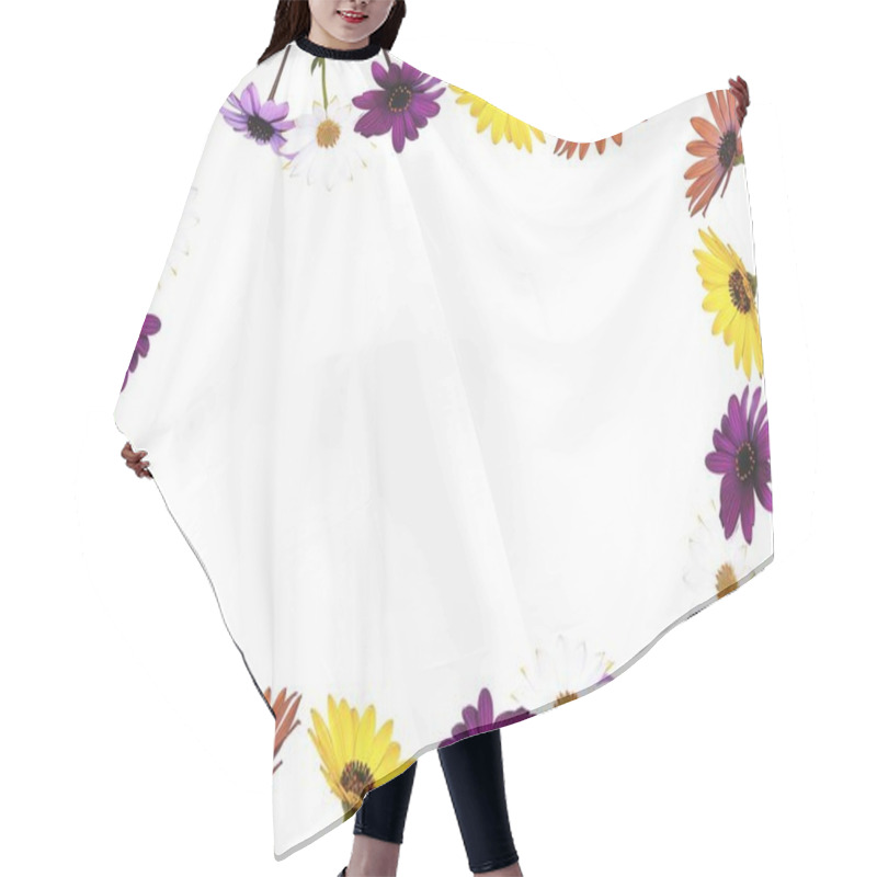 Personality  Daisies. Hair Cutting Cape