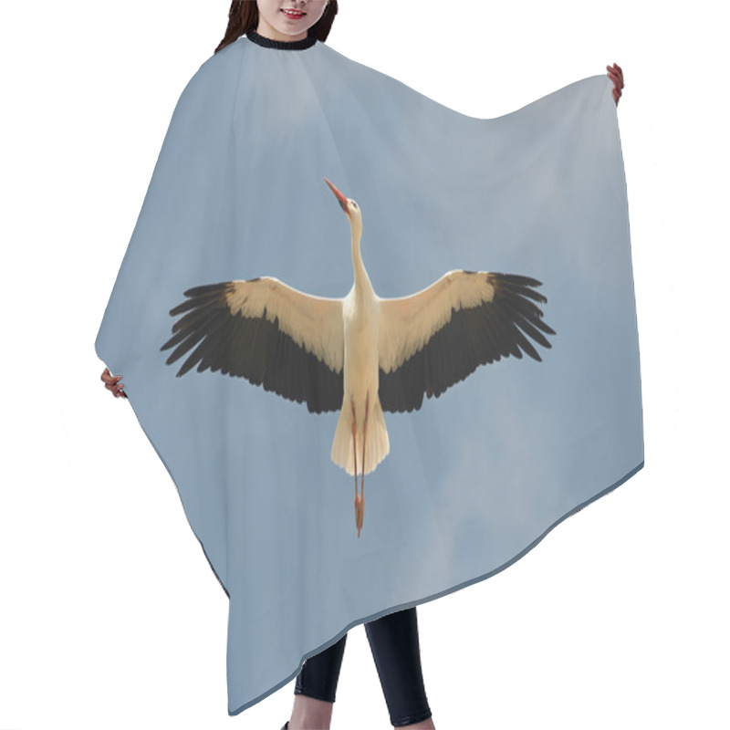 Personality  White Stork Overhead Hair Cutting Cape