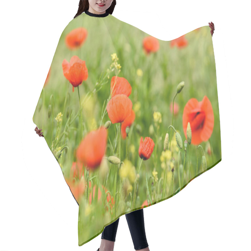 Personality  Poppy Flowers On Field In Warm Summer Day Hair Cutting Cape