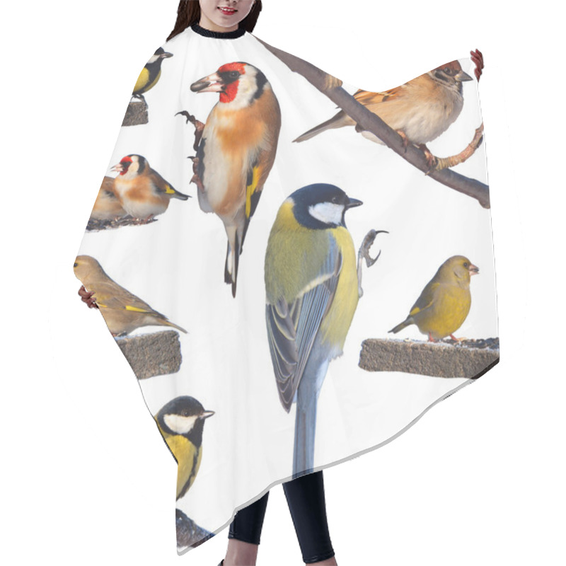 Personality  Birds Hair Cutting Cape