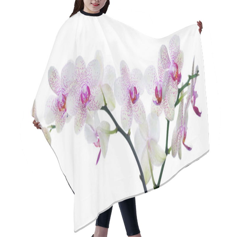 Personality  Orchid Flowers In Pink Spots Hair Cutting Cape