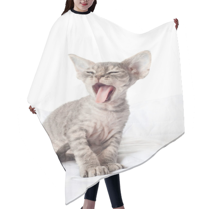 Personality  Little Sphynx Kitten Crying Hair Cutting Cape