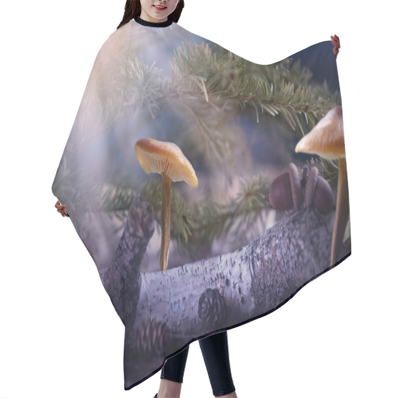 Personality  Fantasy Enchanted Fairy Tale Forest With Mushrooms, Magical Mystical Glowing Light Beam, Moon Rays Shining In Dark Blue Night, Log And Fir Trees In Fairytale Magic Deep Mystic Woods, Fictional World Hair Cutting Cape