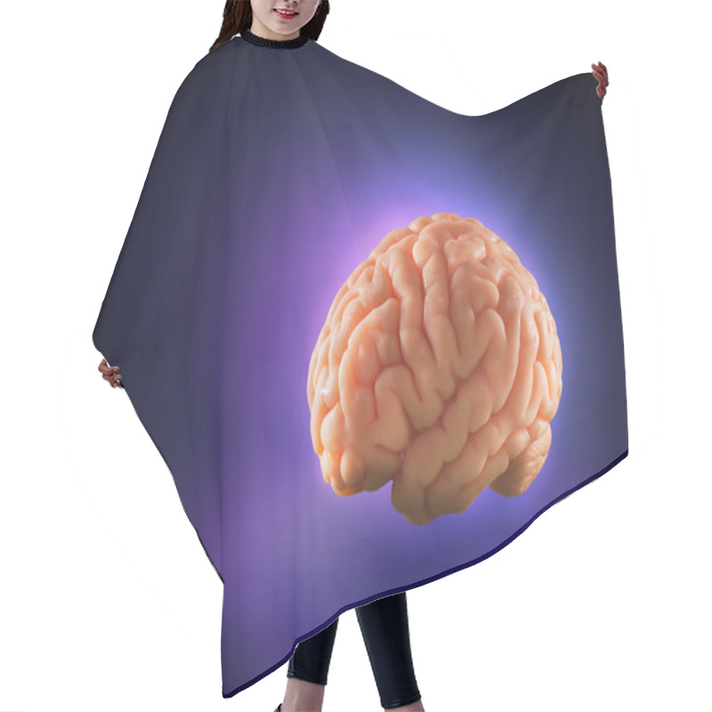 Personality  Human Brain, Thoughts Concept Hair Cutting Cape