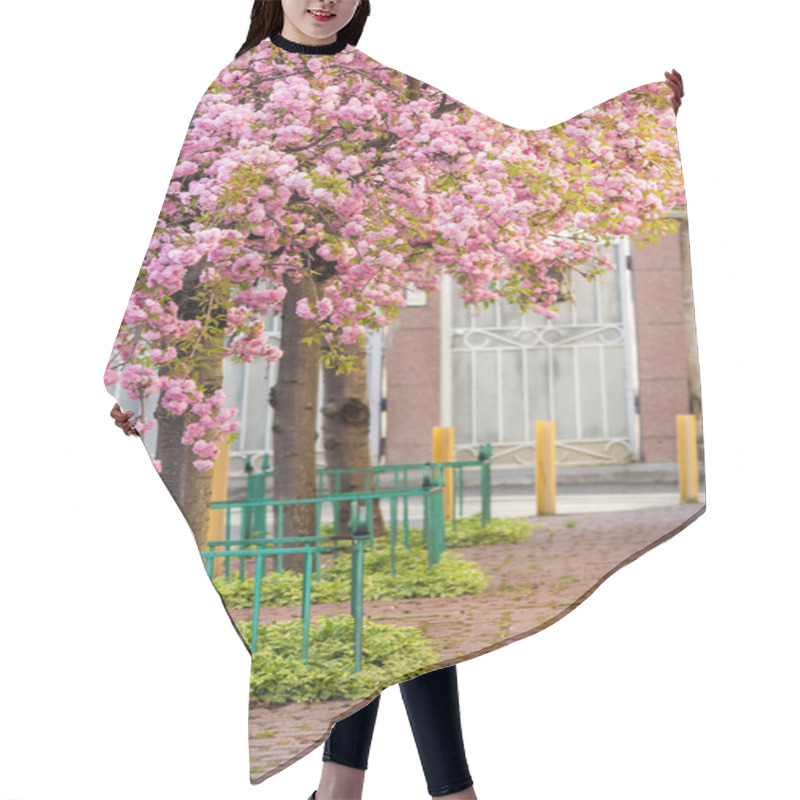 Personality  Pink Blossomed Sakura Flowers Street Hair Cutting Cape