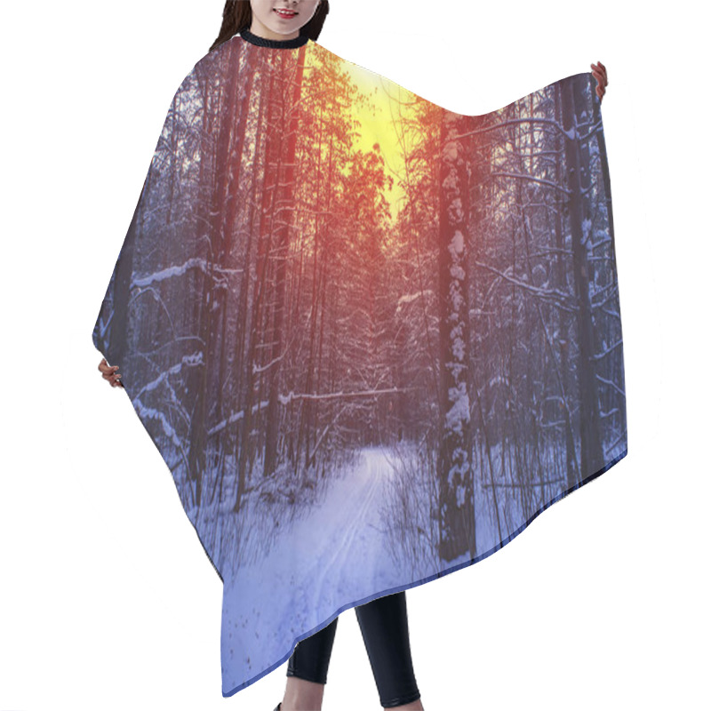 Personality  Ski Run In The Winter Sunny Forest Hair Cutting Cape