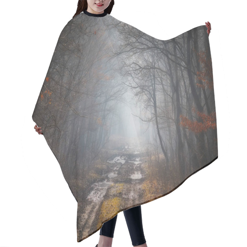 Personality  Road In A Oak Forest In Autumn Time In A Foggy Day Hair Cutting Cape