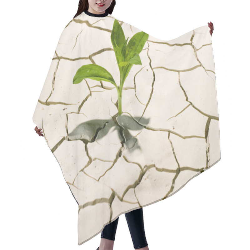 Personality  Live Plant In Crackrd Ground Hair Cutting Cape